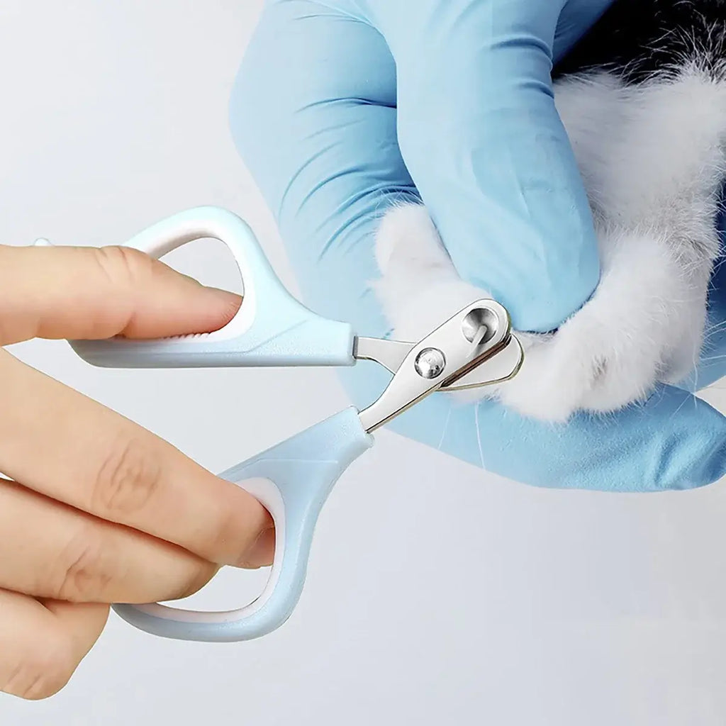 S0a690e857b724d2f9f0b8b6c9e0427bcx