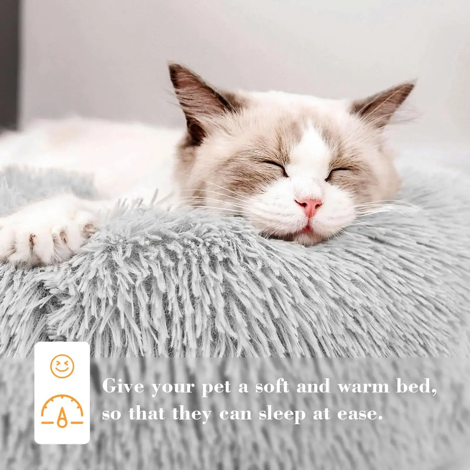 S451af8d239b44038a485cacfd03e5097n