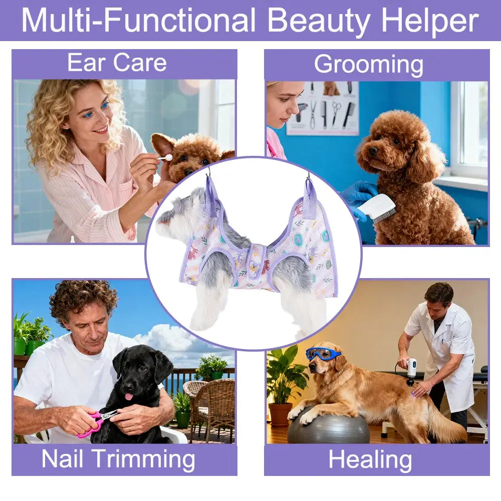 S456327f4079b4d20b3378a17d431d818z