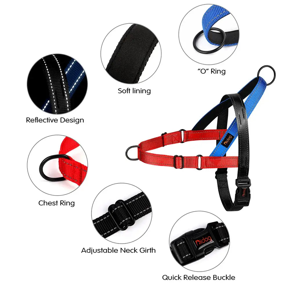 S52cd39a1c20b43d48e0023934a610f76K