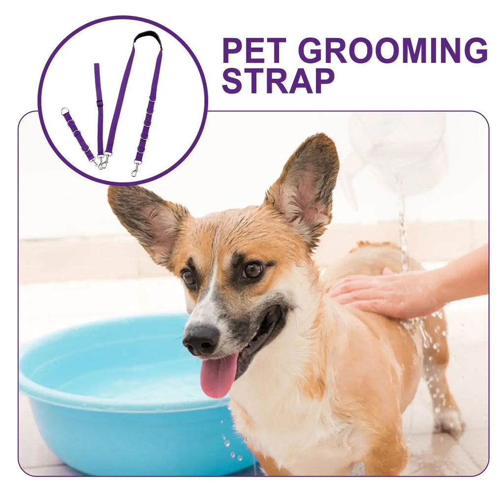 S54d09f3f3b9243faafb32449f8a7c6e2k