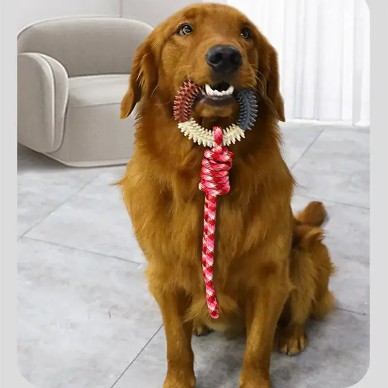 S5763bcffd60d4c6fb9d9813221ebd2a9T