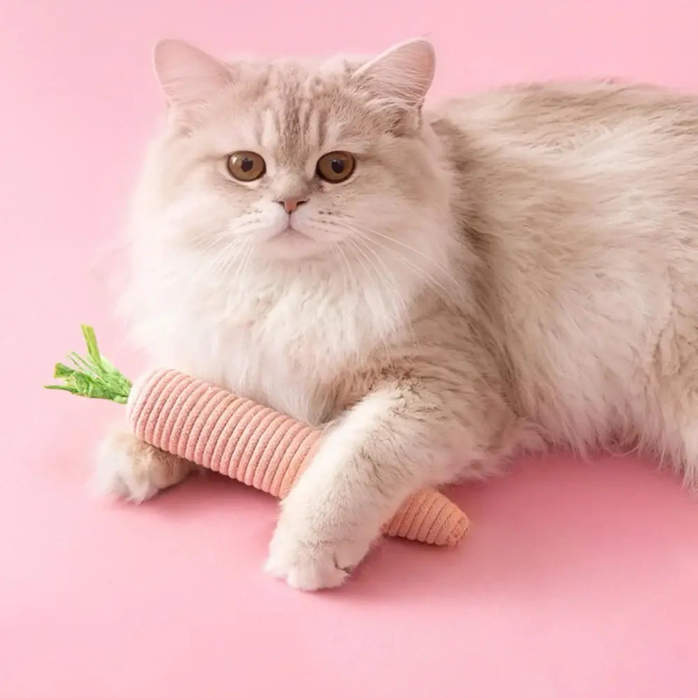 S73d7dc54d19b4387b52e079cadb8be8fe