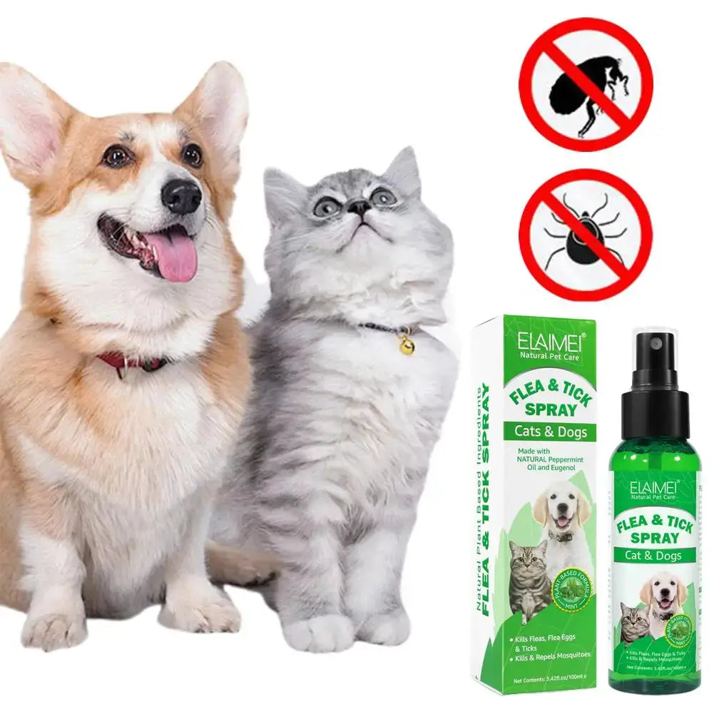 S853b7ad208c242a0b3020a4c8d81e8e6b