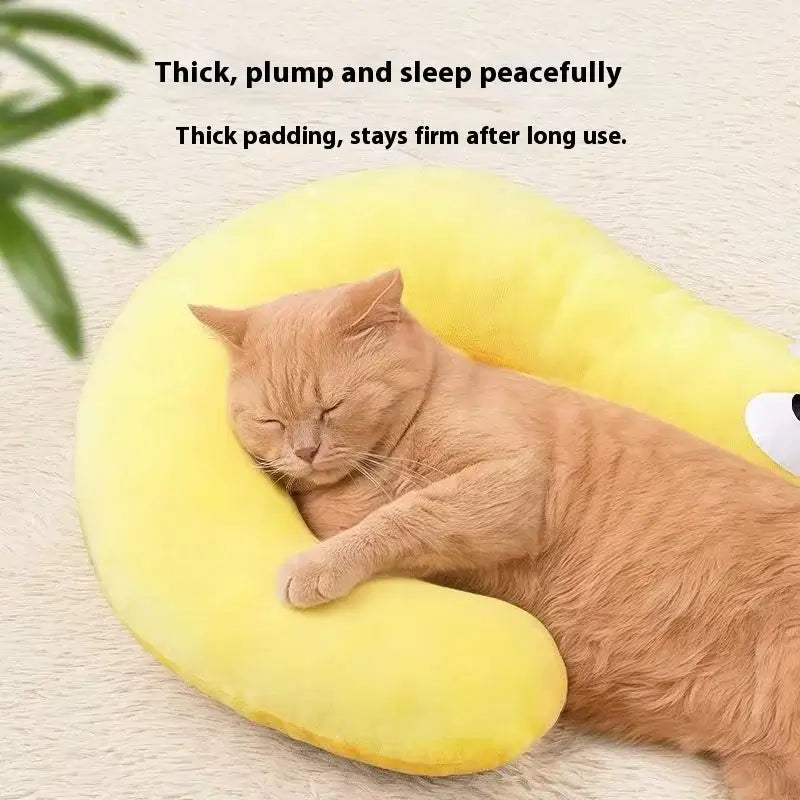 S9e952fe150744dadb60a07678b50aeede