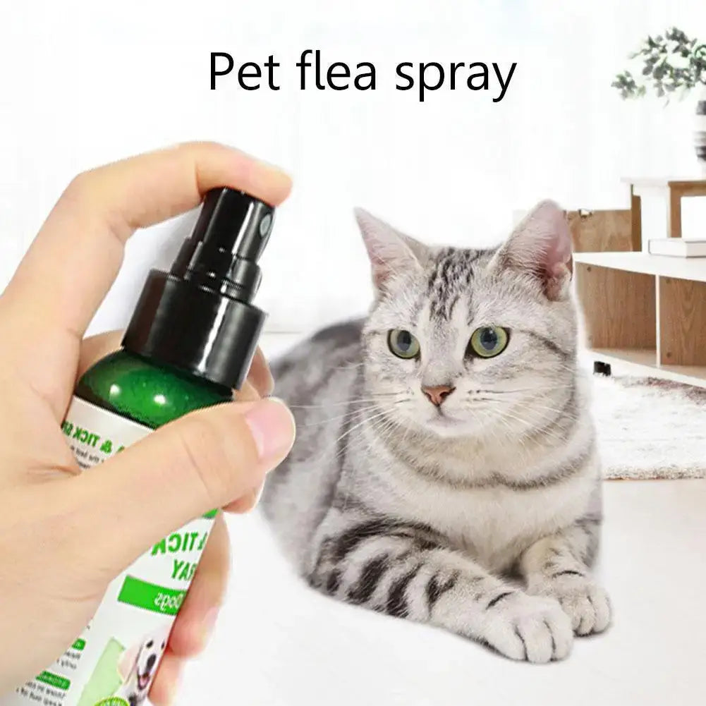 S9f508d549a3d452e959ff7db980bfdcbd