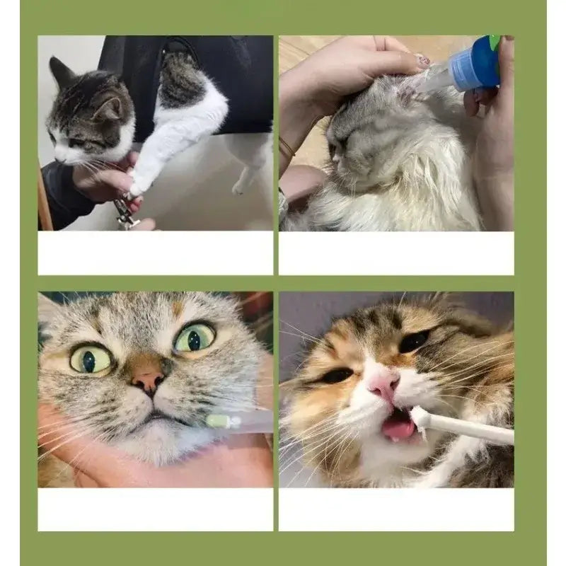 Sbb5e9ed5c3d445bda764c0e6e838cffca