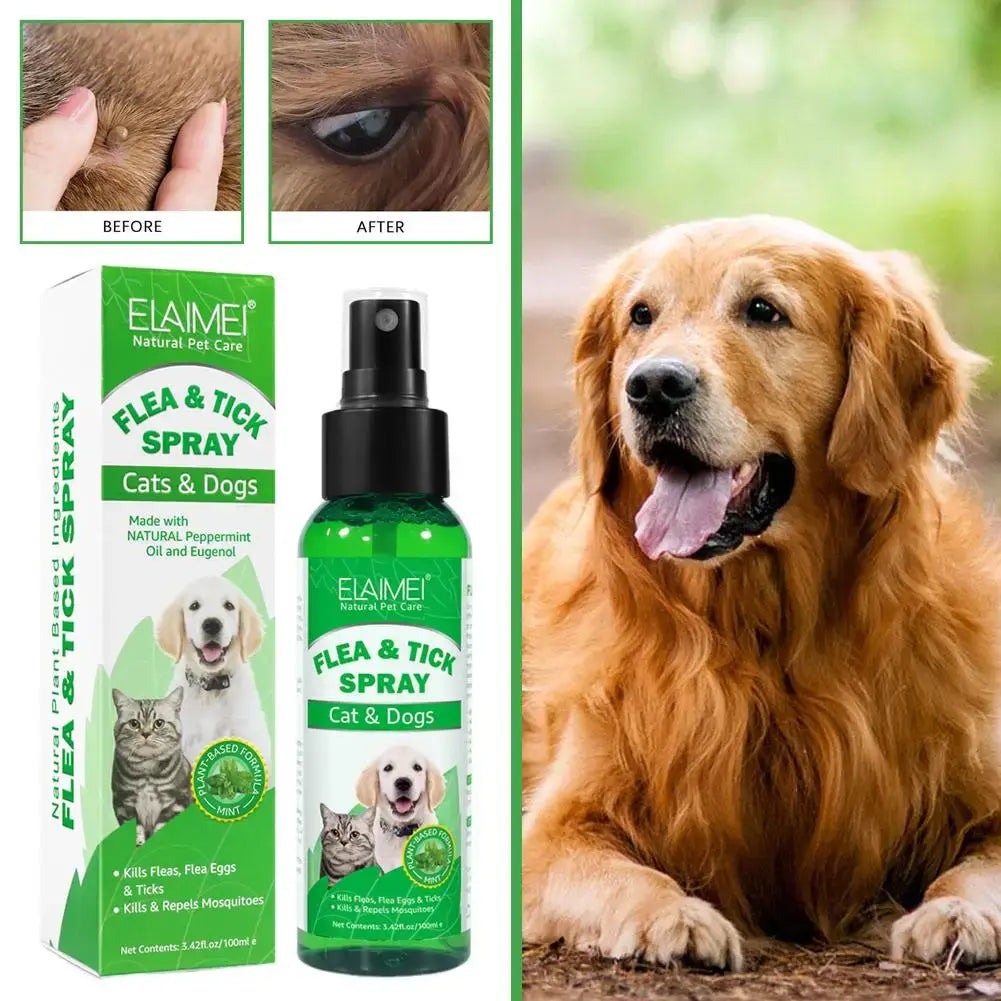 Sf7541436b2224d74b885d3a5e6a39089v